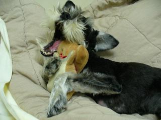 P1000787.JPG
