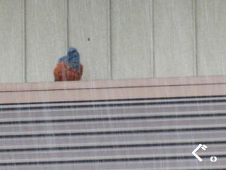r7.jpg
