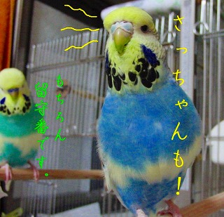 2010 5 29 r (14).jpg