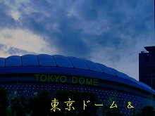 2010 5 29 r (12).jpg