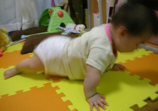 よつばい立ち２