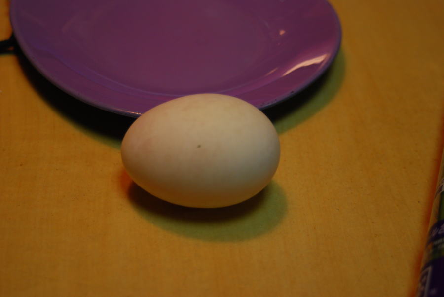 tamago