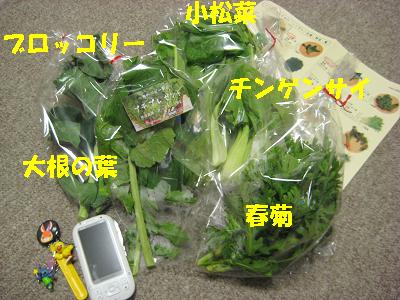 野菜！