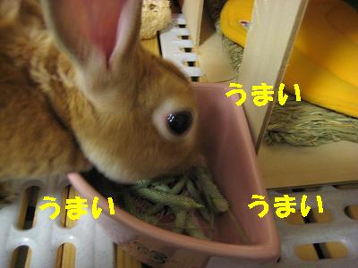 穂、うまいよね