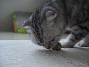 CIMG9415_edited-1.jpg