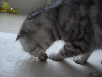 CIMG9416_edited-1.jpg