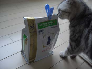 CIMG9418_edited-1.jpg