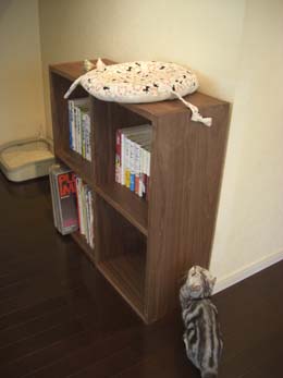 CIMG8227_edited-1.jpg