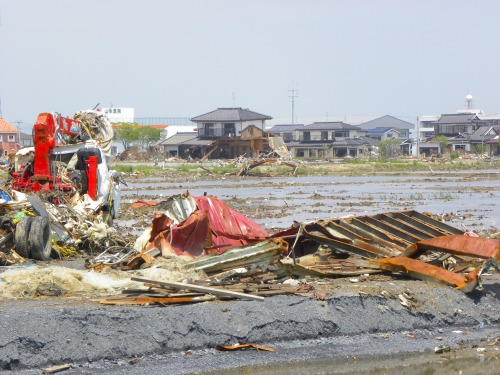 DSCN5938.jpg