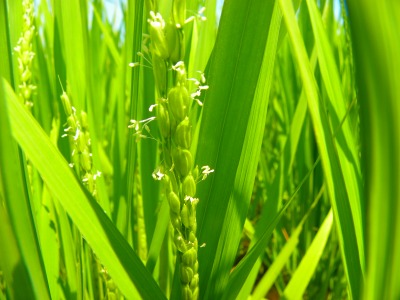 DSCN2610.jpg