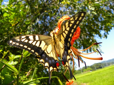 DSCN8925.jpg