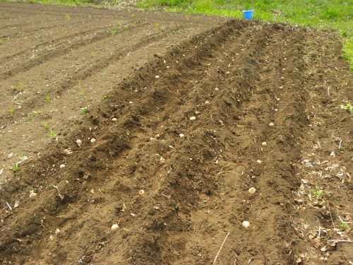 DSCN5887.jpg