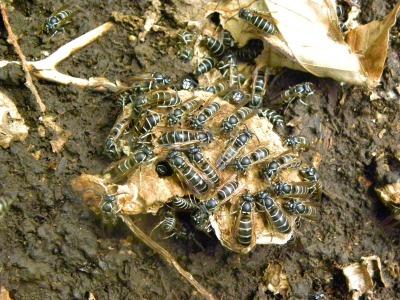 DSCN3082.jpg