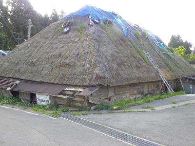 DSCN9179.jpg