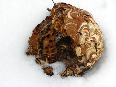 DSCN5178.jpg