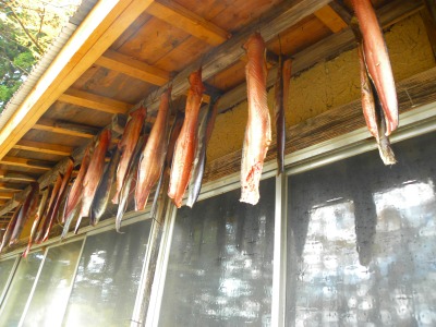 DSCN3582.jpg