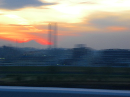 DSCN7424.jpg