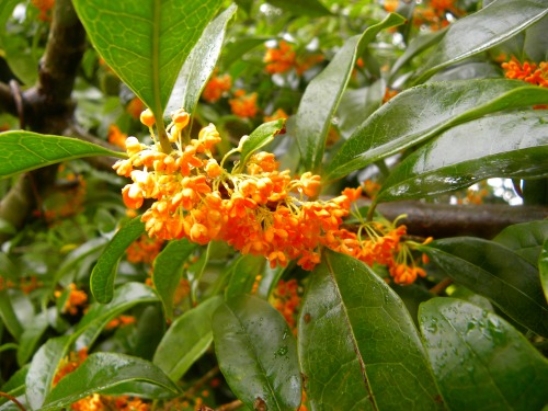 DSCN6879.jpg