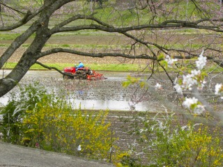 DSCN7101.jpg