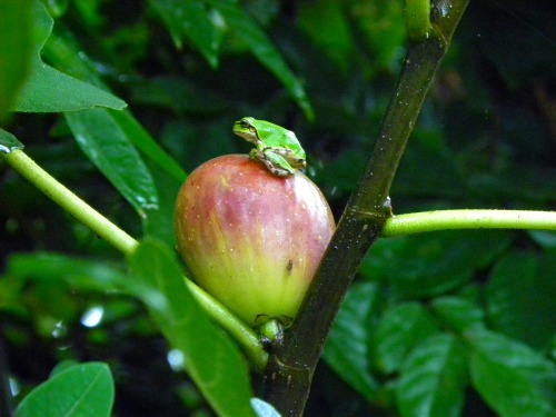 DSCN6867.jpg