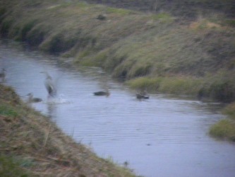 DSCN6317.jpg