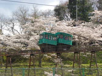 DSCN6580.jpg