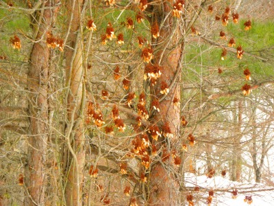 DSCN4607.jpg