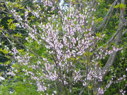 DSCN5872.jpg