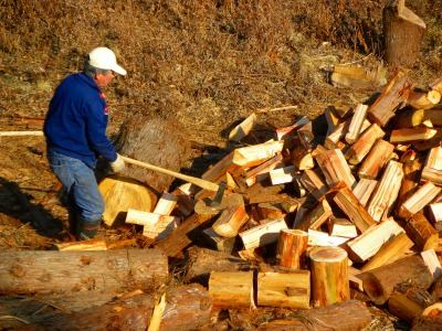 DSCN4587.jpg