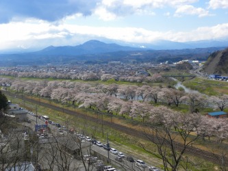 DSCN6550.jpg