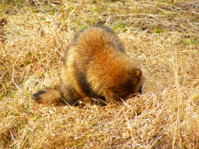 DSCN4577.jpg