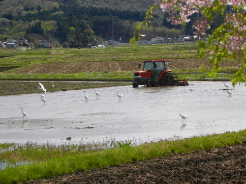 DSCN5706.jpg