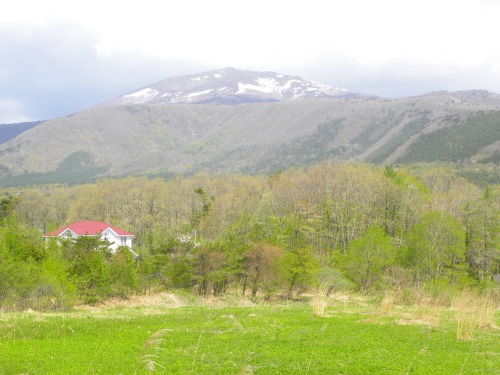 DSCN5870.jpg