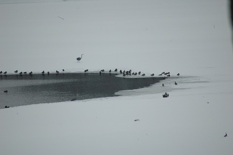 DSC_0019.jpg