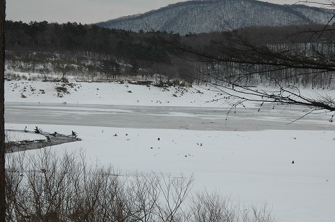 DSC_0051.jpg