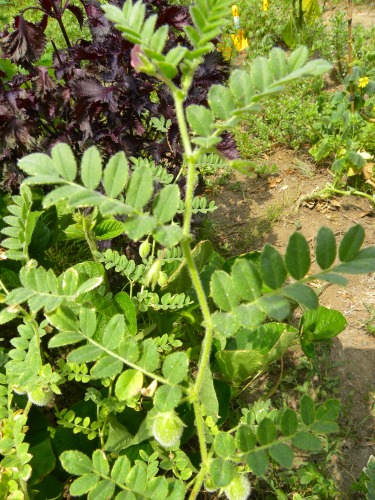 DSCN9055.jpg