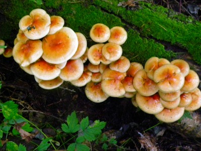DSCN3114.jpg