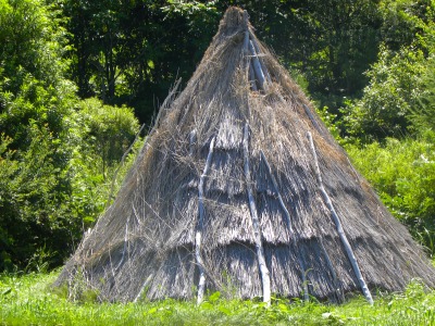 DSCN9830.jpg
