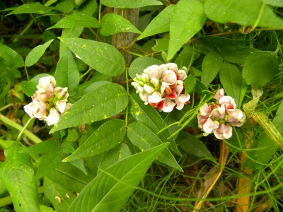 DSCN9049.jpg