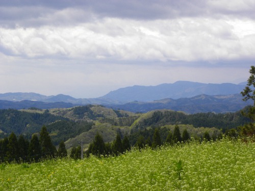 DSCN5732.jpg