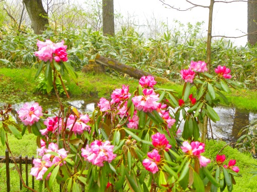 DSCN5806.jpg