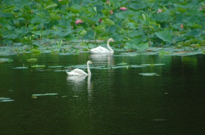 DSC_0024.jpg
