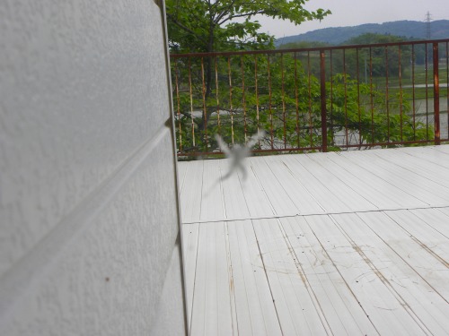DSCN5902.jpg