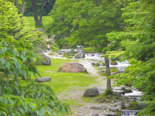 DSCN6228.jpg
