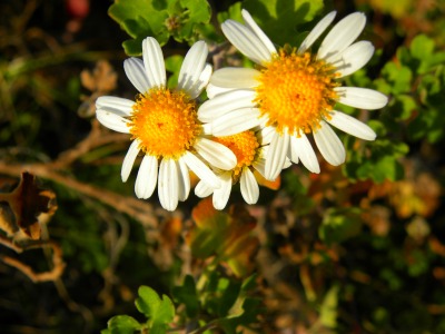 DSCN3857.jpg