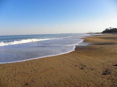 DSCN3866.jpg