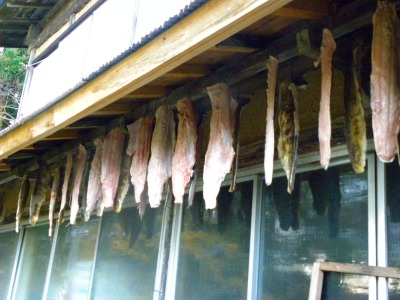 DSCN3504.jpg