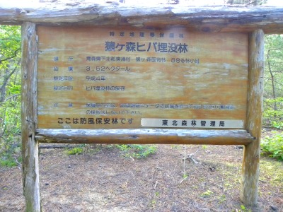 DSCN9213.jpg