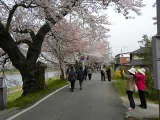 DSCN6637.jpg