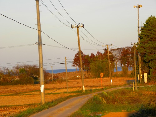 DSCN6912.jpg